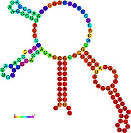 structure of a 5s rRNA with reliability annotation