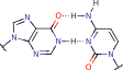 hypoxanthine_cytosine_pair hypoxanthine_cytosine_pair