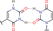 pseudouracil_uracil_pair_0 pseudouracil_uracil_pair_0