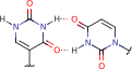 pseudouracil_uracil_pair_1 pseudouracil_uracil_pair_1