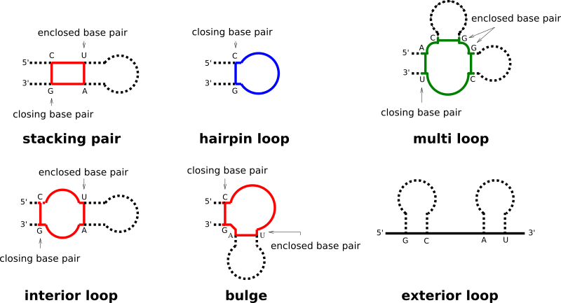../_images/loop_types.png