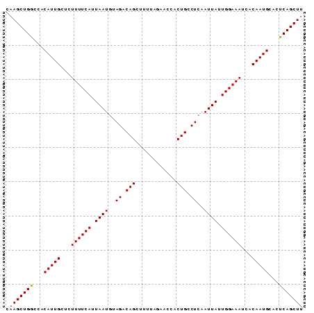 Dot Plot