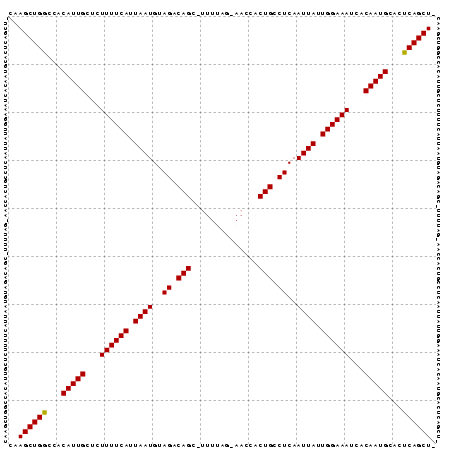 Dot Plot