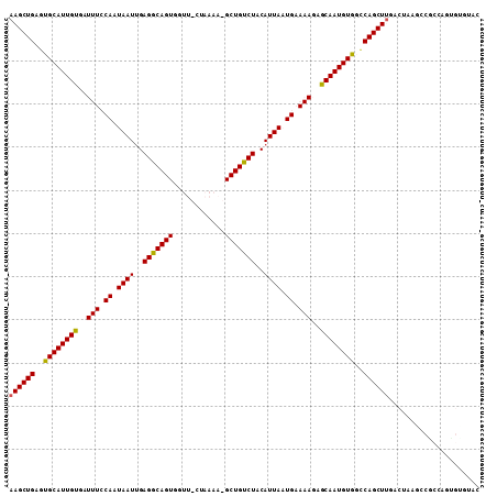 Dot Plot