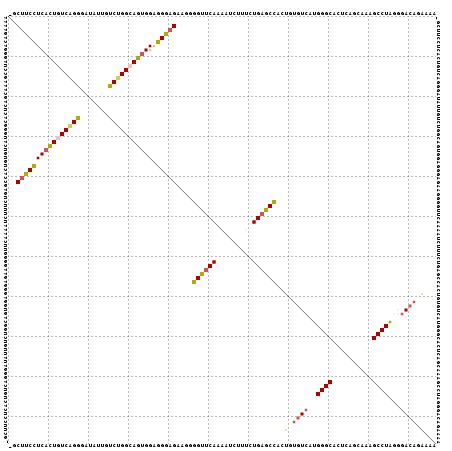 Dot Plot