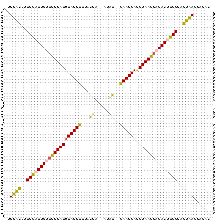 Dot Plot