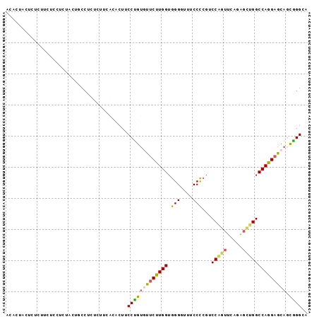 Dot Plot