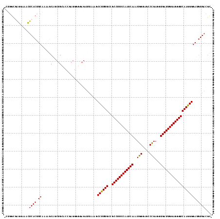 Dot Plot