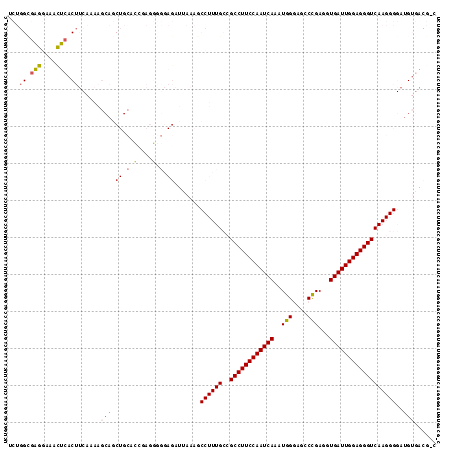 Dot Plot