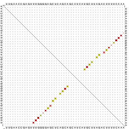 Dot Plot