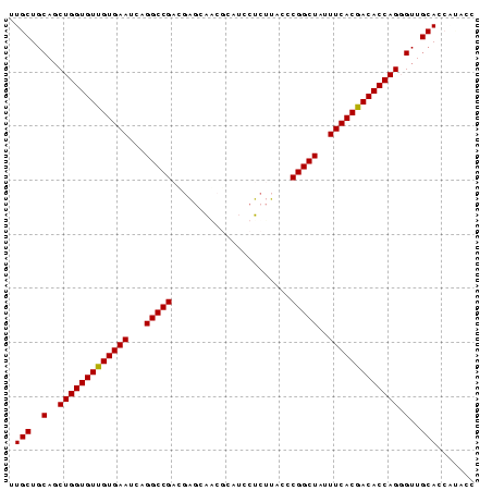 Dot Plot