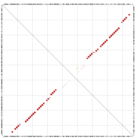 Dot Plot