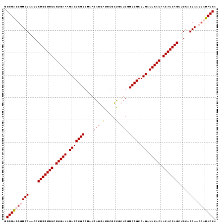 Dot Plot