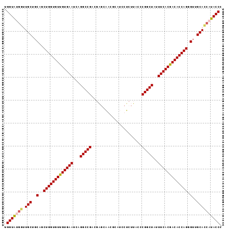 Dot Plot