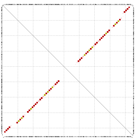 Dot Plot