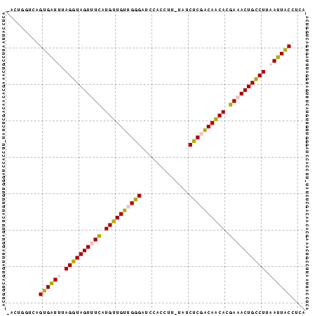 Dot Plot