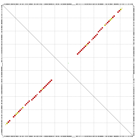 Dot Plot