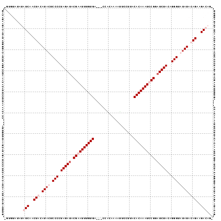 Dot Plot