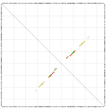 Dot Plot