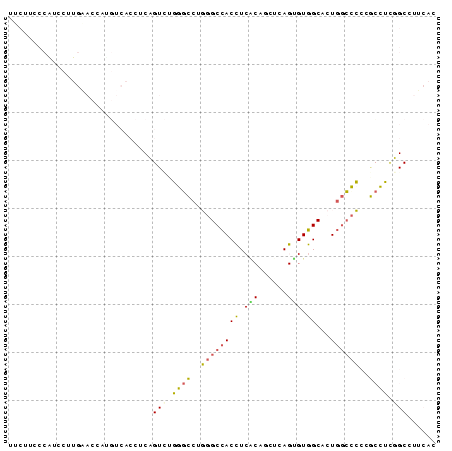 Dot Plot