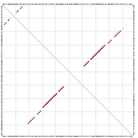 Dot Plot