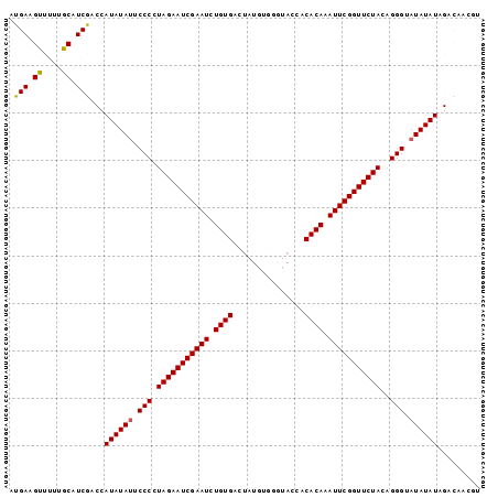 Dot Plot