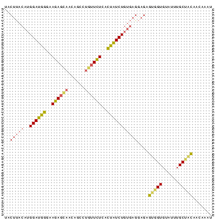 Dot Plot