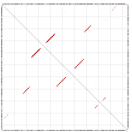 Dot Plot