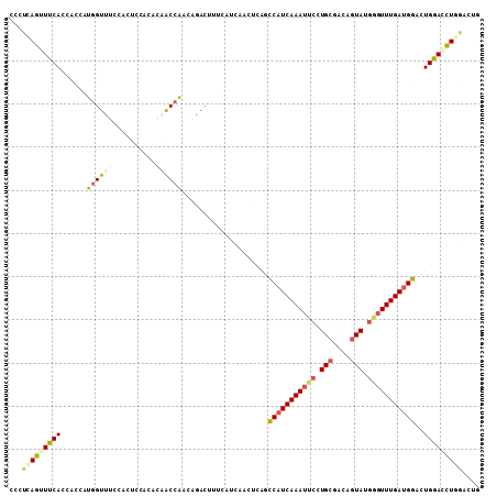 Dot Plot