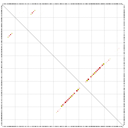 Dot Plot