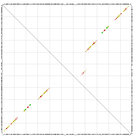 Dot Plot