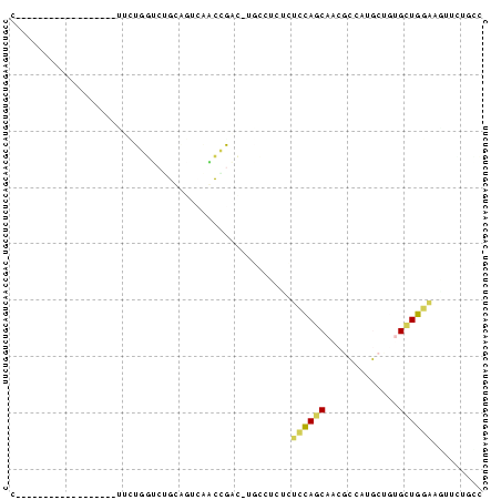 Dot Plot