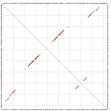 Dot Plot