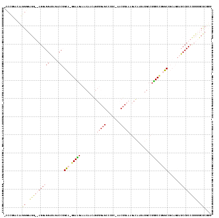 Dot Plot