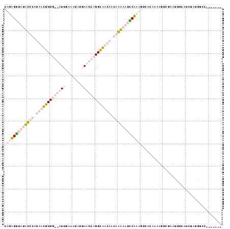 Dot Plot