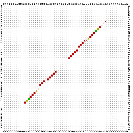 Dot Plot