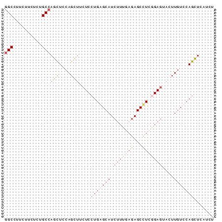 Dot Plot