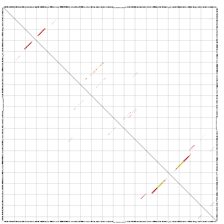 Dot Plot