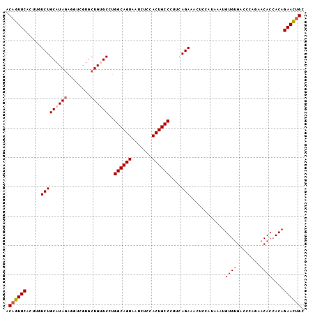 Dot Plot