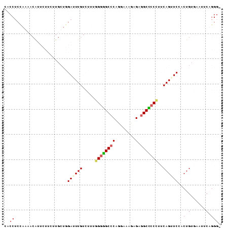 Dot Plot