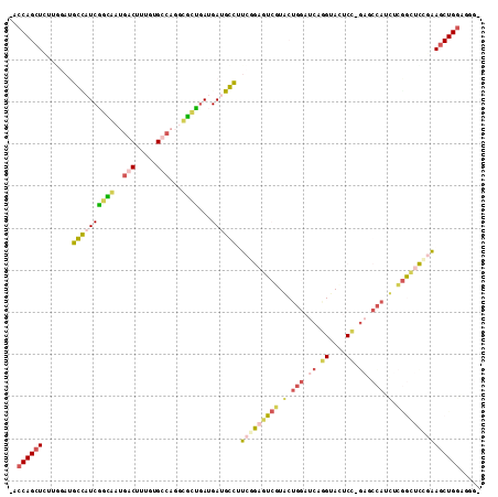 Dot Plot