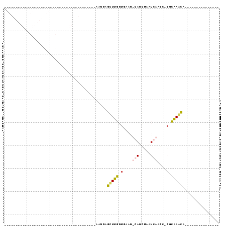 Dot Plot