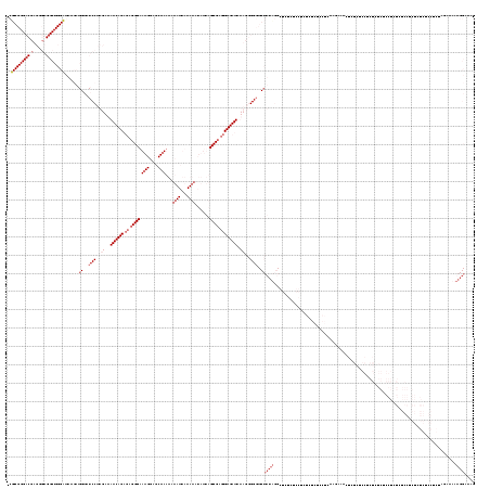 Dot Plot