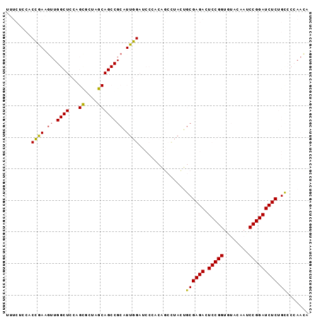 Dot Plot