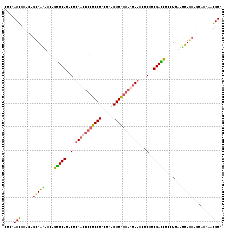 Dot Plot