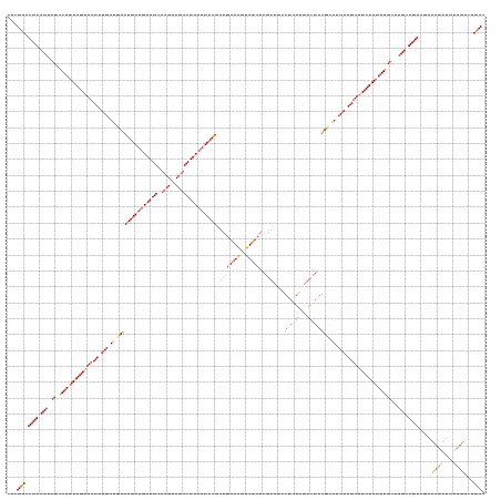 Dot Plot