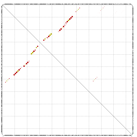 Dot Plot