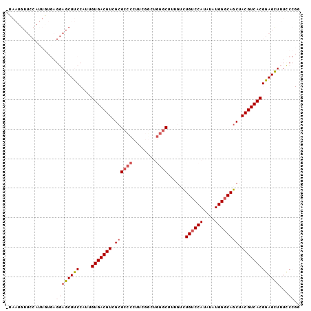 Dot Plot