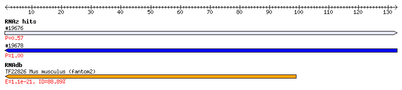 Overview