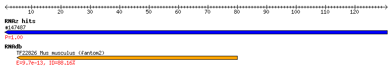 Overview